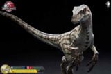  Mô hình Velociraptor bản quyền jurassic park 3 wdragon studio 