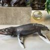  Mô hình khủng long Kronosaurus pnso studio chính hãng tỷ lệ 1/35 