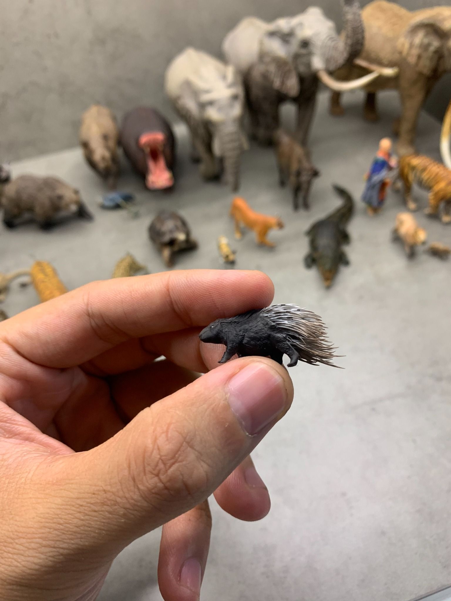  Mô hình động vật con nhím tỷ lệ 1/35. 