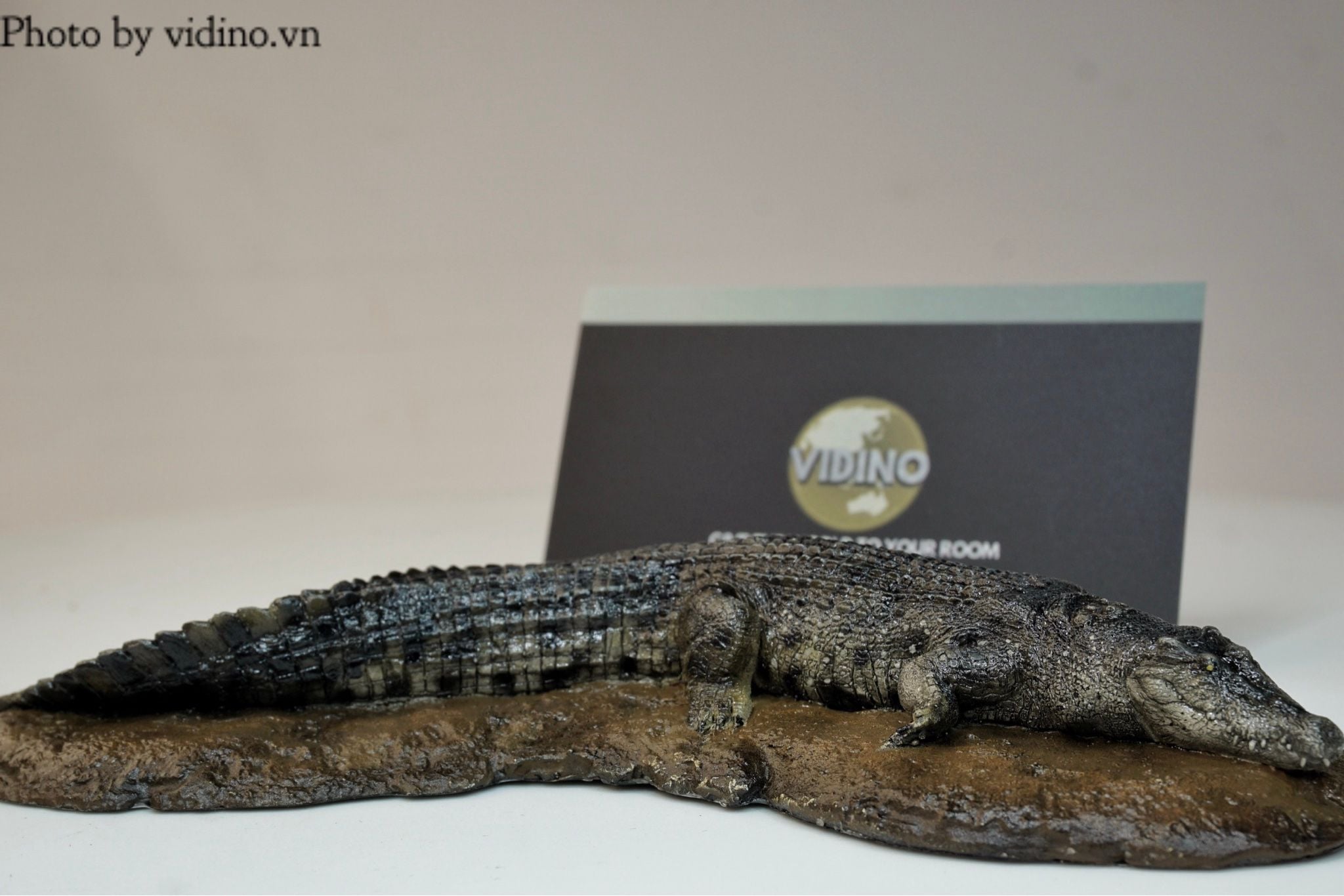  Mô hình cá sấu nước mặn Crocs Man studio tỷ lệ 1/35. 