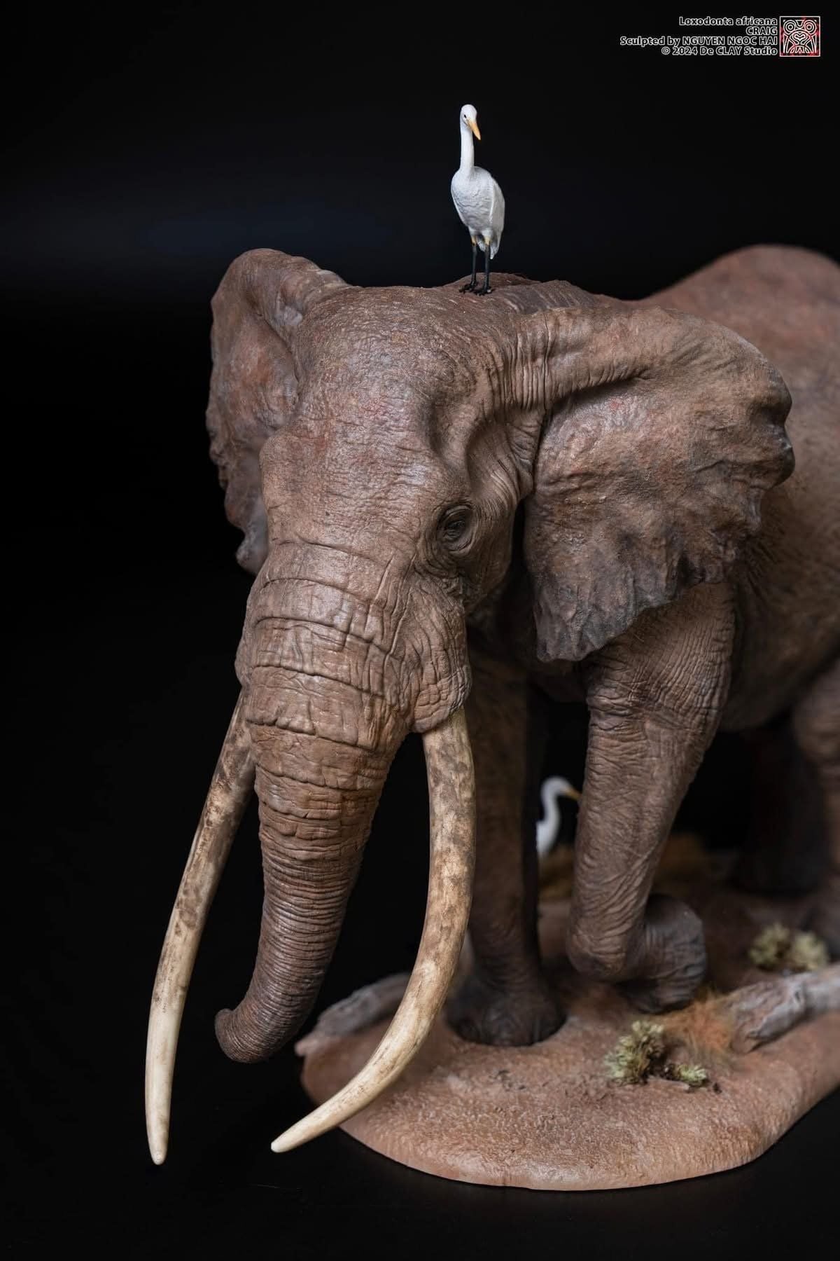  Mô hình động vật voi đồng cỏ Châu Phi chính hãng Declay studio. 