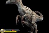  Mô hình Velociraptor bản quyền jurassic park 3 wdragon studio 