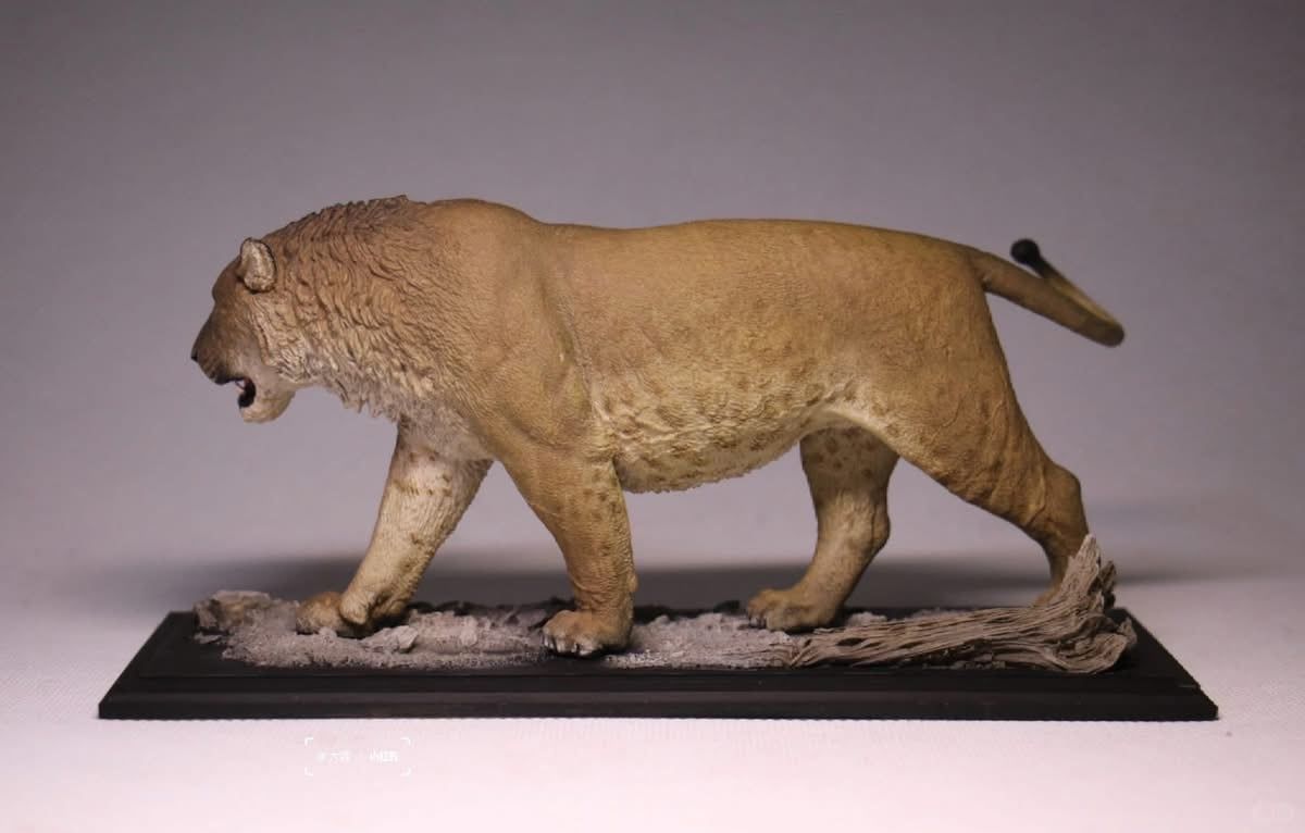  Mô hình động vật tiền sử sư tử mỹ- Panthera atrox De clay studio. 