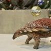  Mô hình Borealopelta PNSO studio chính hãng tỷ lệ 1:35 