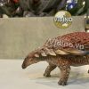  Mô hình Borealopelta PNSO studio chính hãng tỷ lệ 1:35 