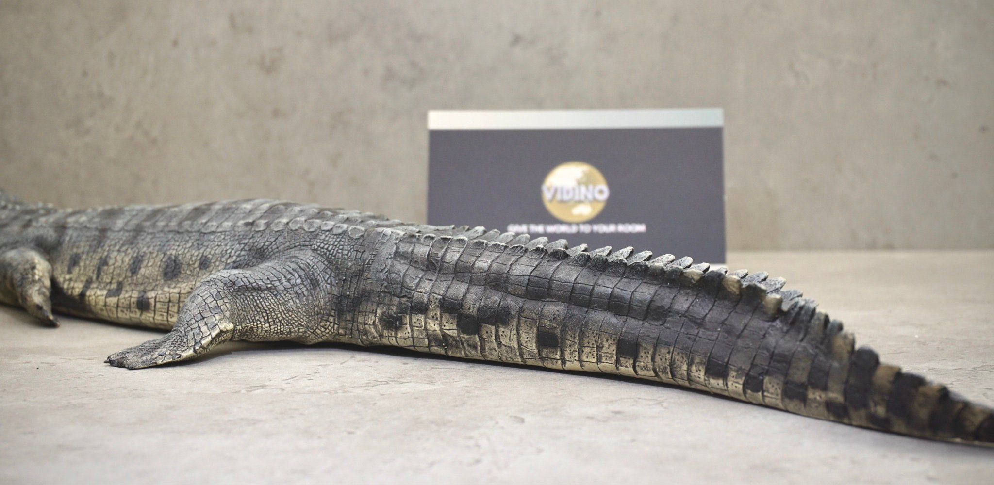  Mô hình động vật cá sấu ấn độ Gharial india hãng Crocs Man Studio tỷ lệ 1/12. 