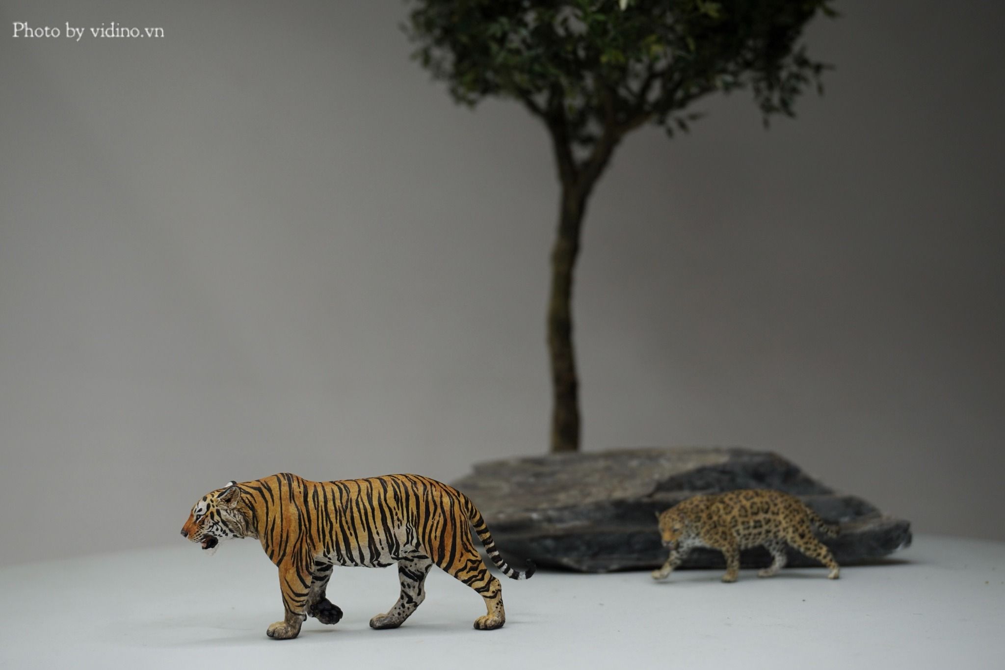  Mô hình động vật hổ Bengal hãng wanshou studio tỷ lệ 1/35. 