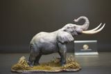  Mô hình Voi châu phi đồng cỏ  wanshou studio tỷ lệ 1/35. 