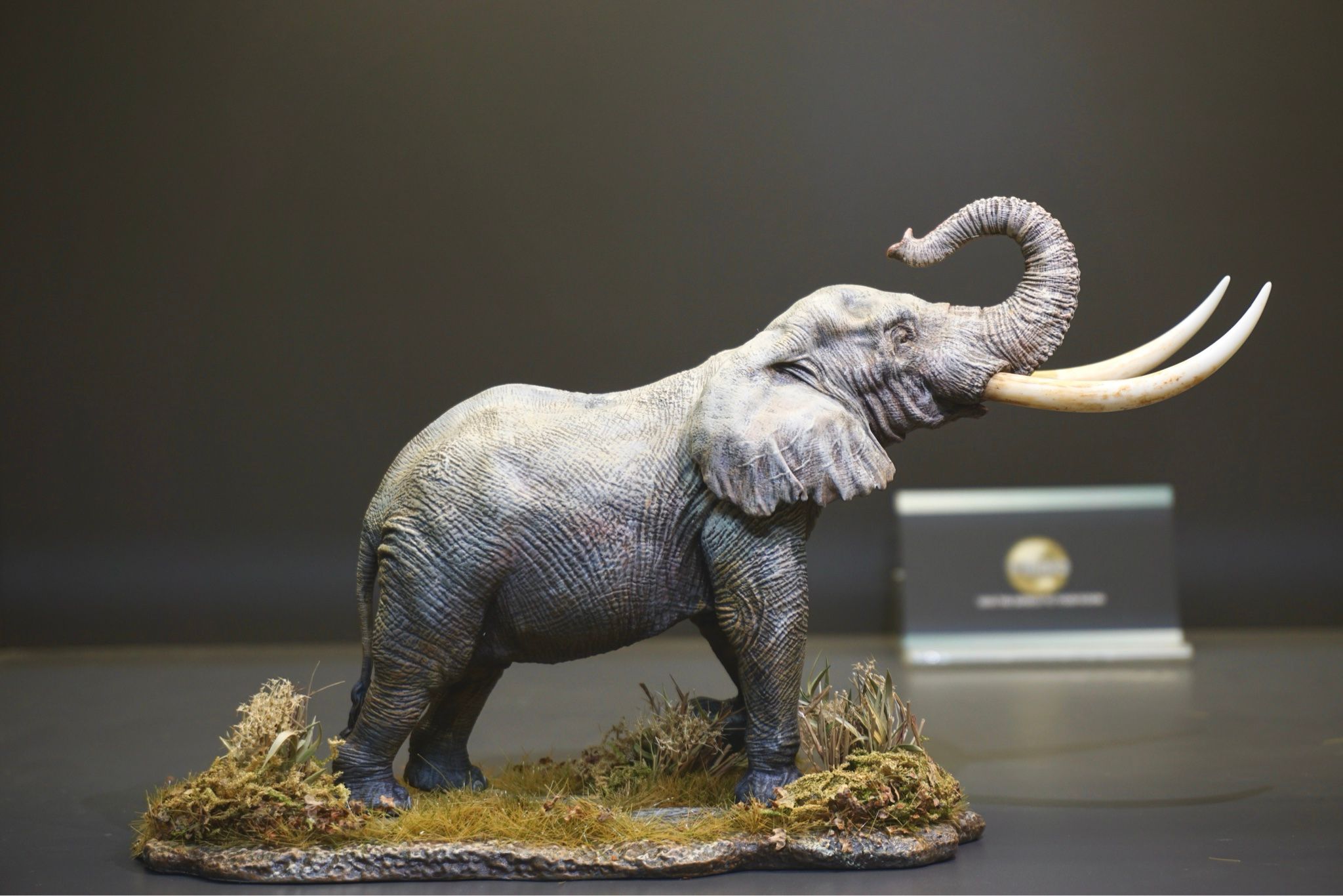  Mô hình Voi châu phi đồng cỏ  wanshou studio tỷ lệ 1/35. 