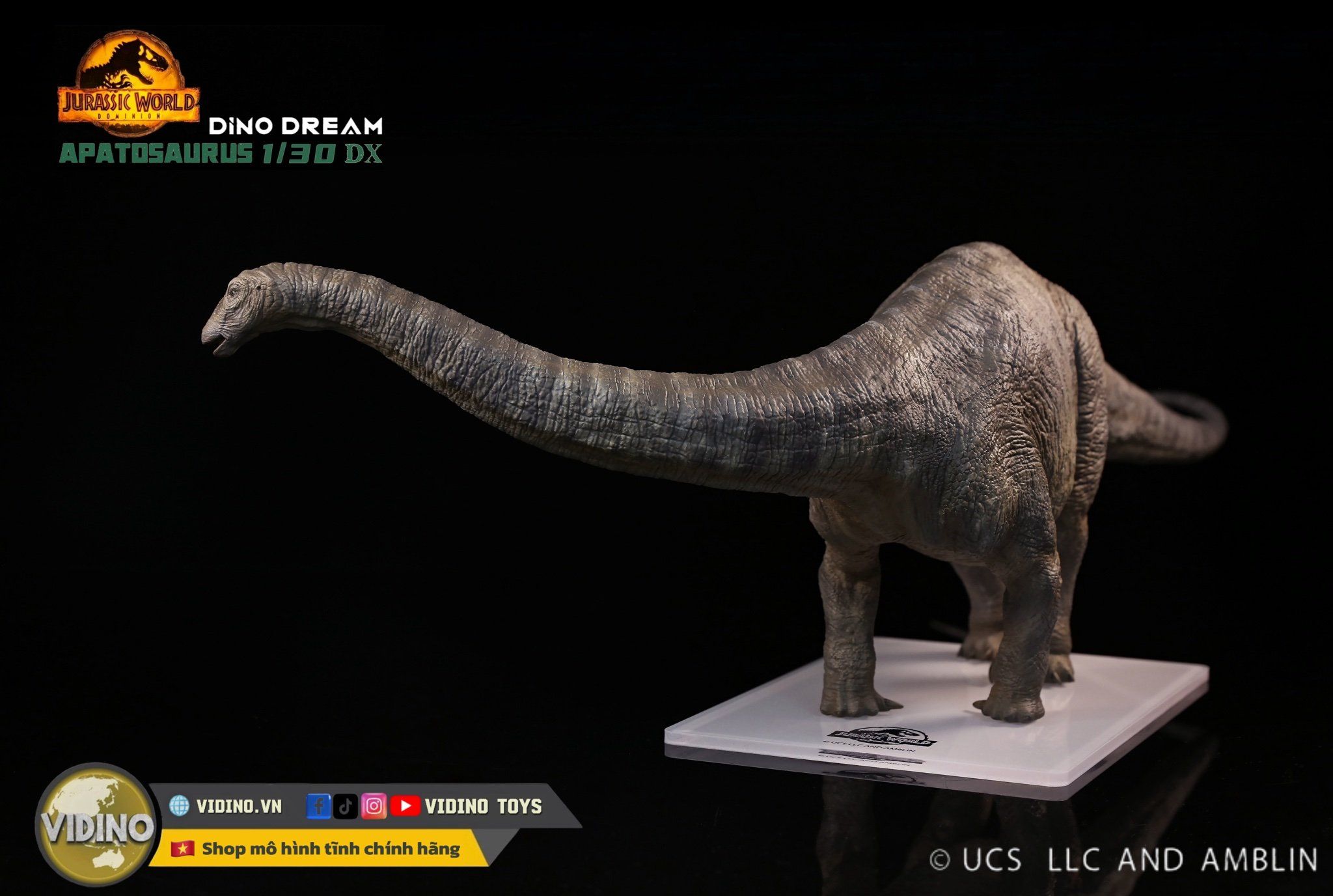  Mô hình Apatosaurus Dinodream bản quyền Universal Jurassic world. 