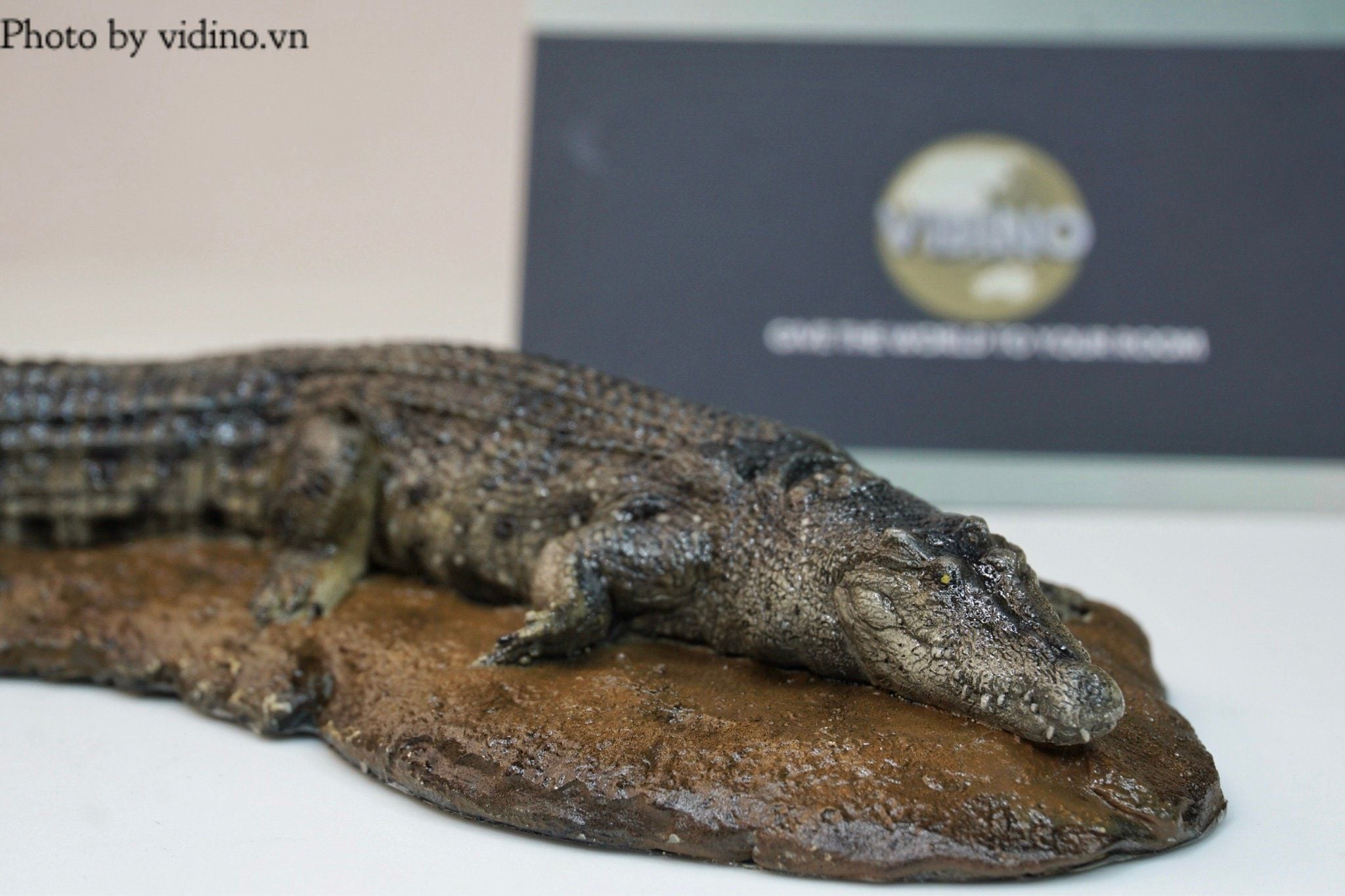  Mô hình cá sấu nước mặn Crocs Man studio tỷ lệ 1/35. 