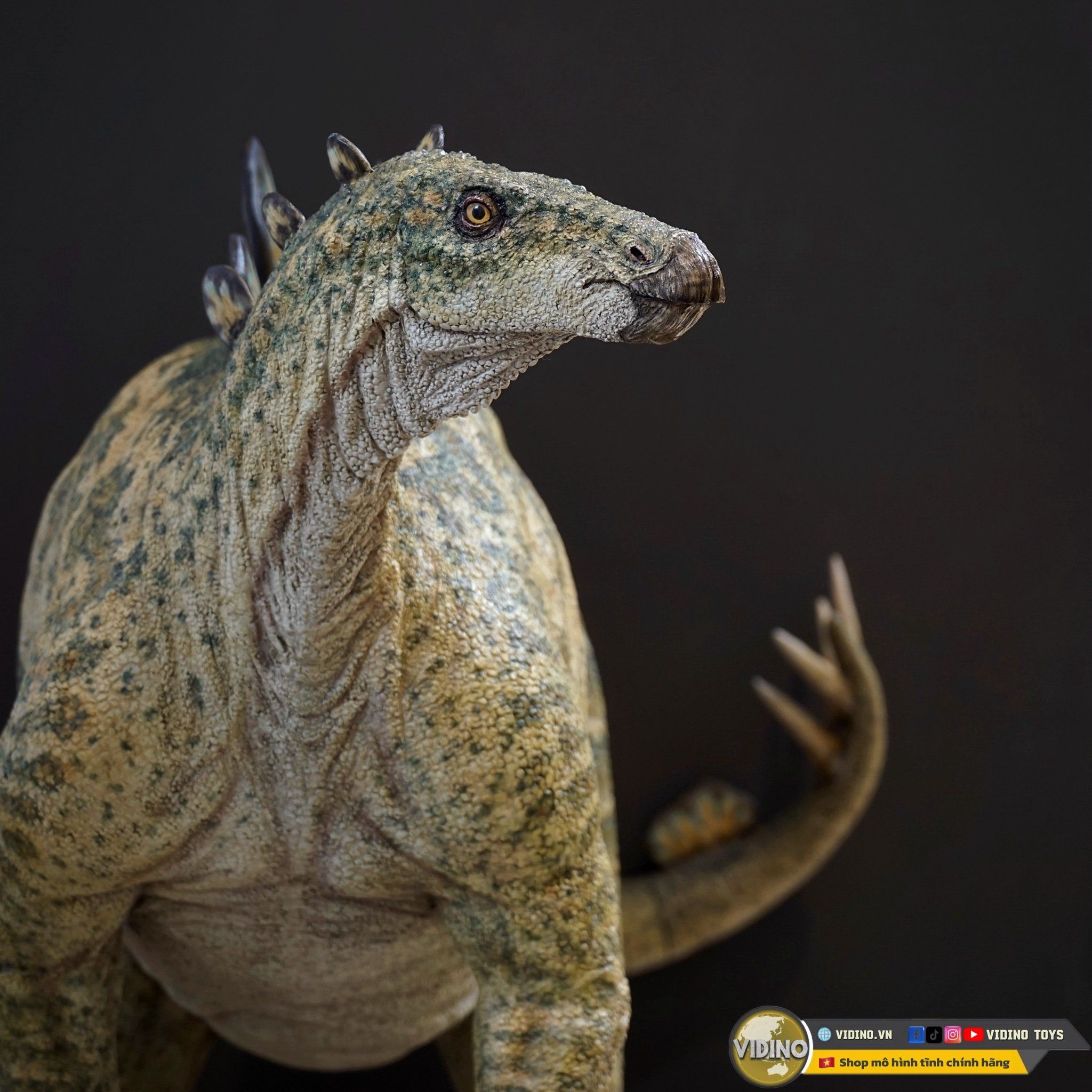  Mô hình stegosaurus baby  1/1 Life size by shanefounker. 