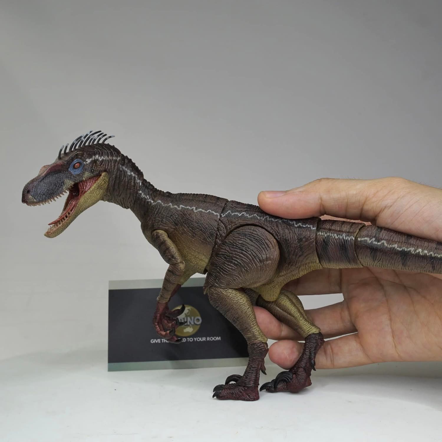  Mô hình khủng long Velociraptor có khớp jurassic park nanmu. 
