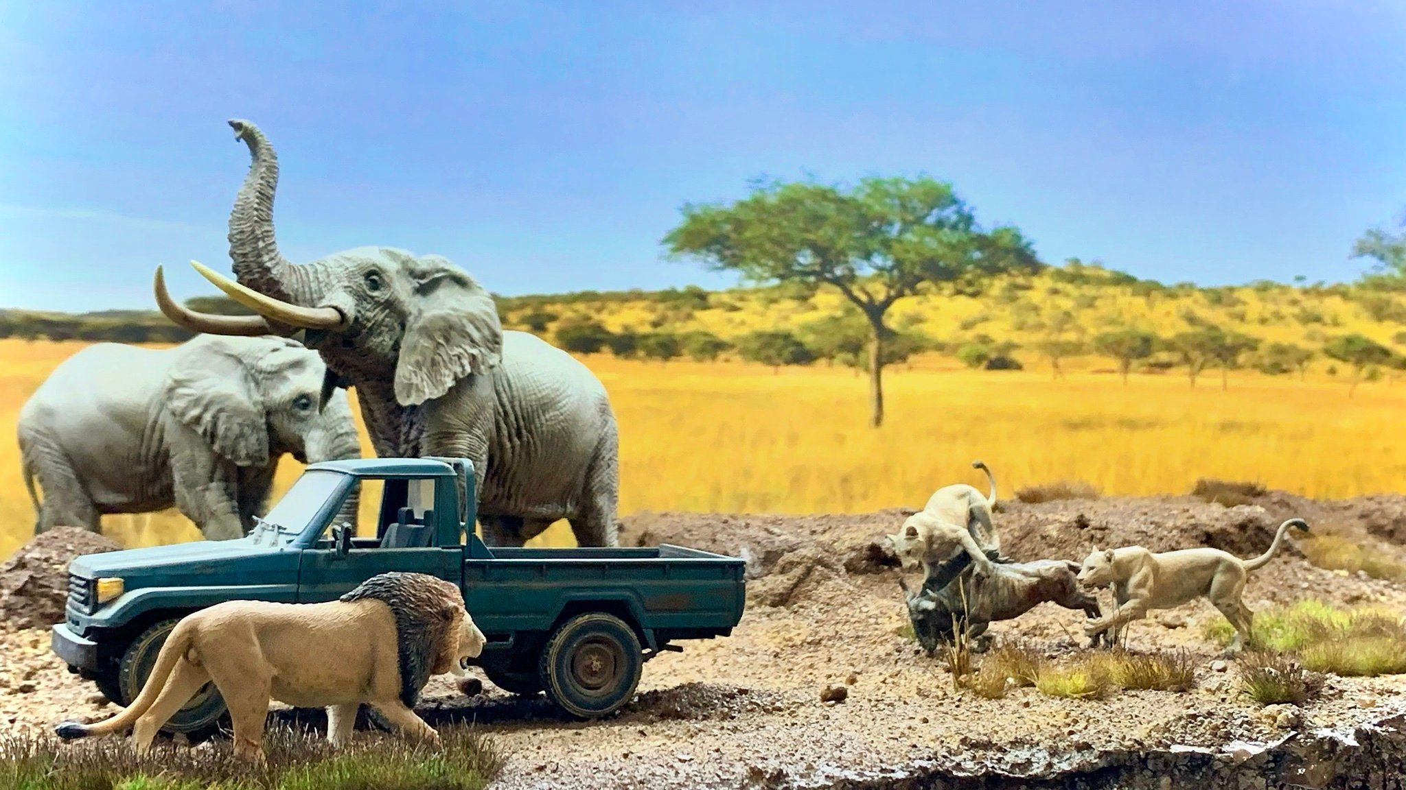  Mô hình động vật sư tử đực châu phi hunting studio tỷ lệ 1/35. 