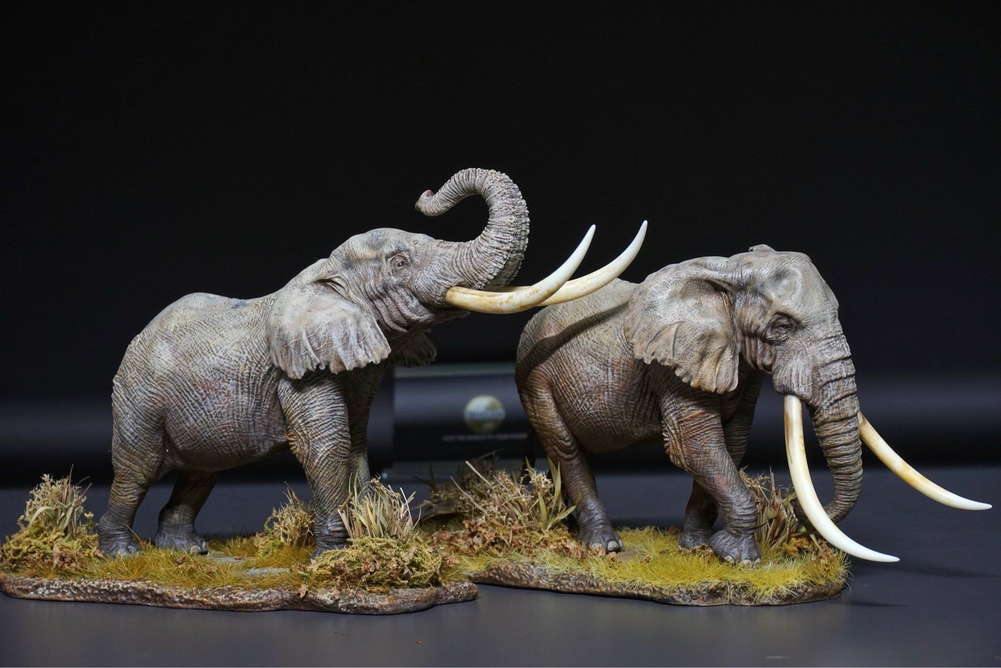  Mô hình Voi châu phi đồng cỏ  wanshou studio tỷ lệ 1/35. 