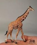  Mô hình động vật hưu cao cổ châu phi Wanshou studio tỷ lệ 1/35 | 𝐕𝐈𝐃𝐈𝐍𝐎.𝐕𝐍 