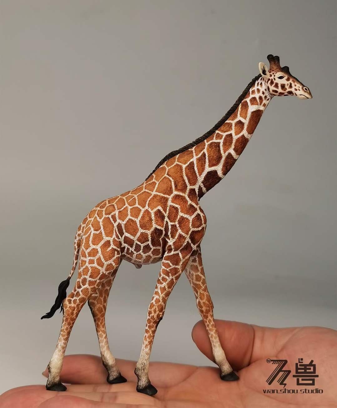  Mô hình động vật hưu cao cổ châu phi Wanshou studio tỷ lệ 1/35 | 𝐕𝐈𝐃𝐈𝐍𝐎.𝐕𝐍 