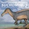  Mô hình khủng long suchomimus hãng Pnso 