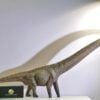  Mô hình khủng long cổ dài mamenchisaurus hãng haolonggood tỷ lệ 1/35 