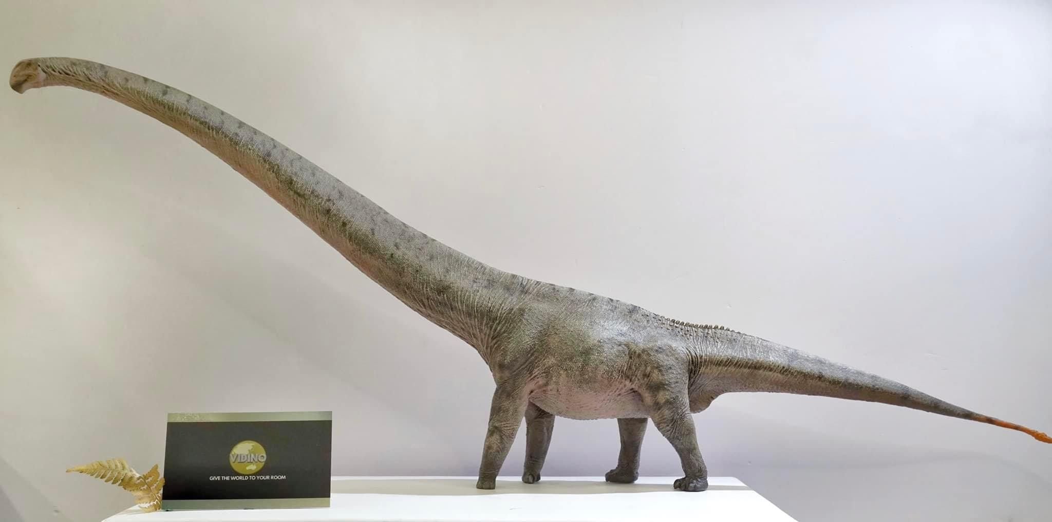  Mô hình khủng long cổ dài mamenchisaurus hãng haolonggood tỷ lệ 1/35 