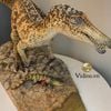 Mô hình khủng long Baryonyx tỷ lệ 1/20 (limited)
