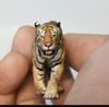 Mô hình động vật hổ Bengal hãng wanshou studio tỷ lệ 1/35.