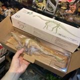  Mô hình khủng long Dicraeosaurus hãng Haolonggood tỷ lệ 1/35 