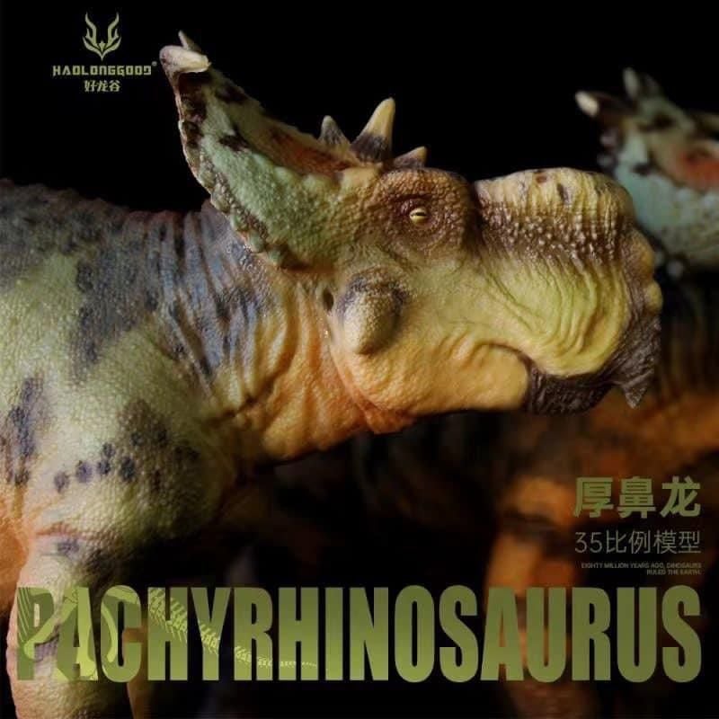  Mô hình khủng long Pachyrhinosaurus hãng Haolonggood tỷ lệ 1/35 