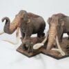  Mô hình loài mammuthus comlui DeClay studio tỷ lệ 1/20 & 1/35 