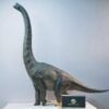  Mô hình brachiosaurus hãng nanmu benxin tỷ lệ 1/35 