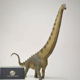  Mô hình loài alamosaurus hãng pnso studio 