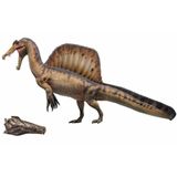  Mô hình khủng long Spinosaurus hãng Pnso 