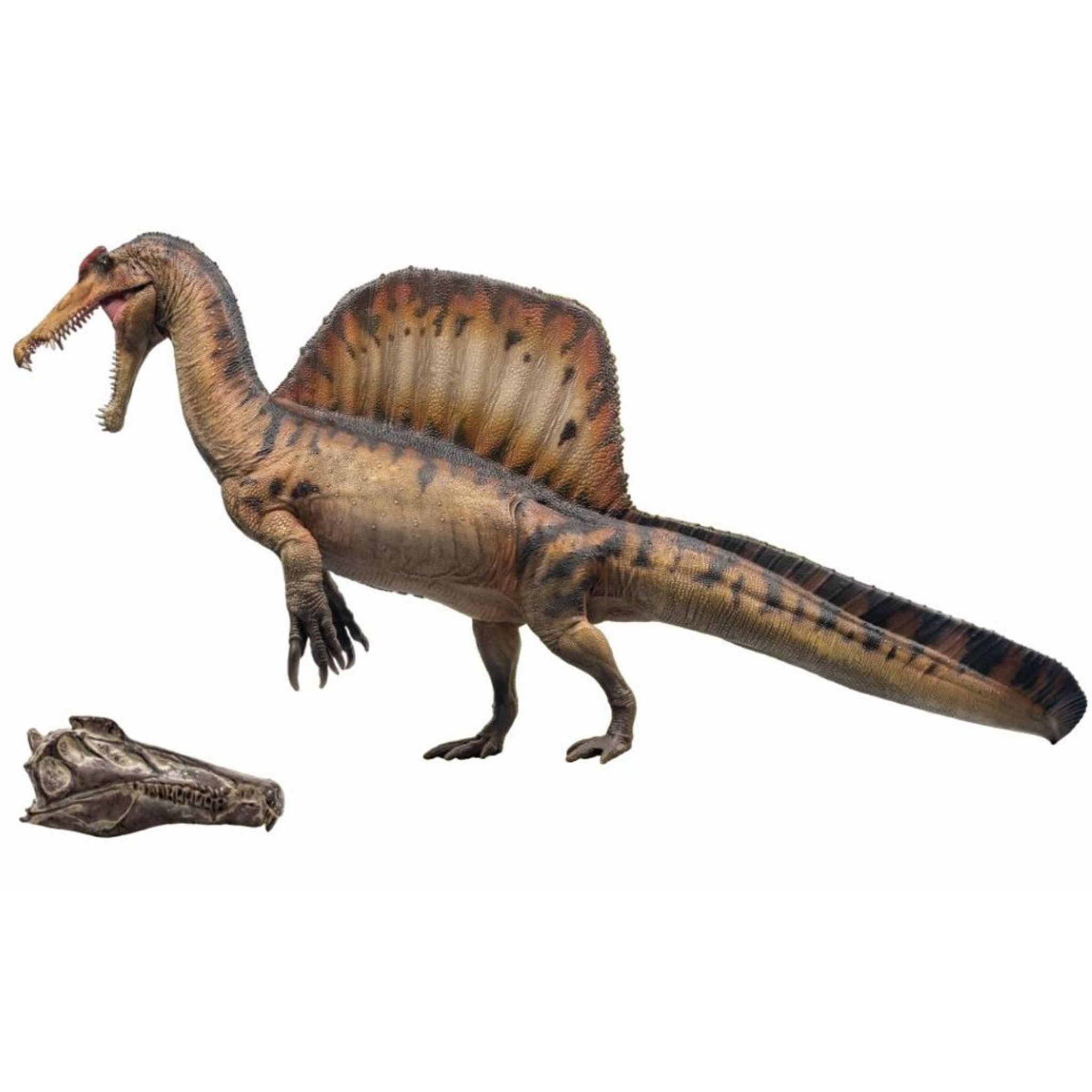  Mô hình khủng long Spinosaurus hãng Pnso 