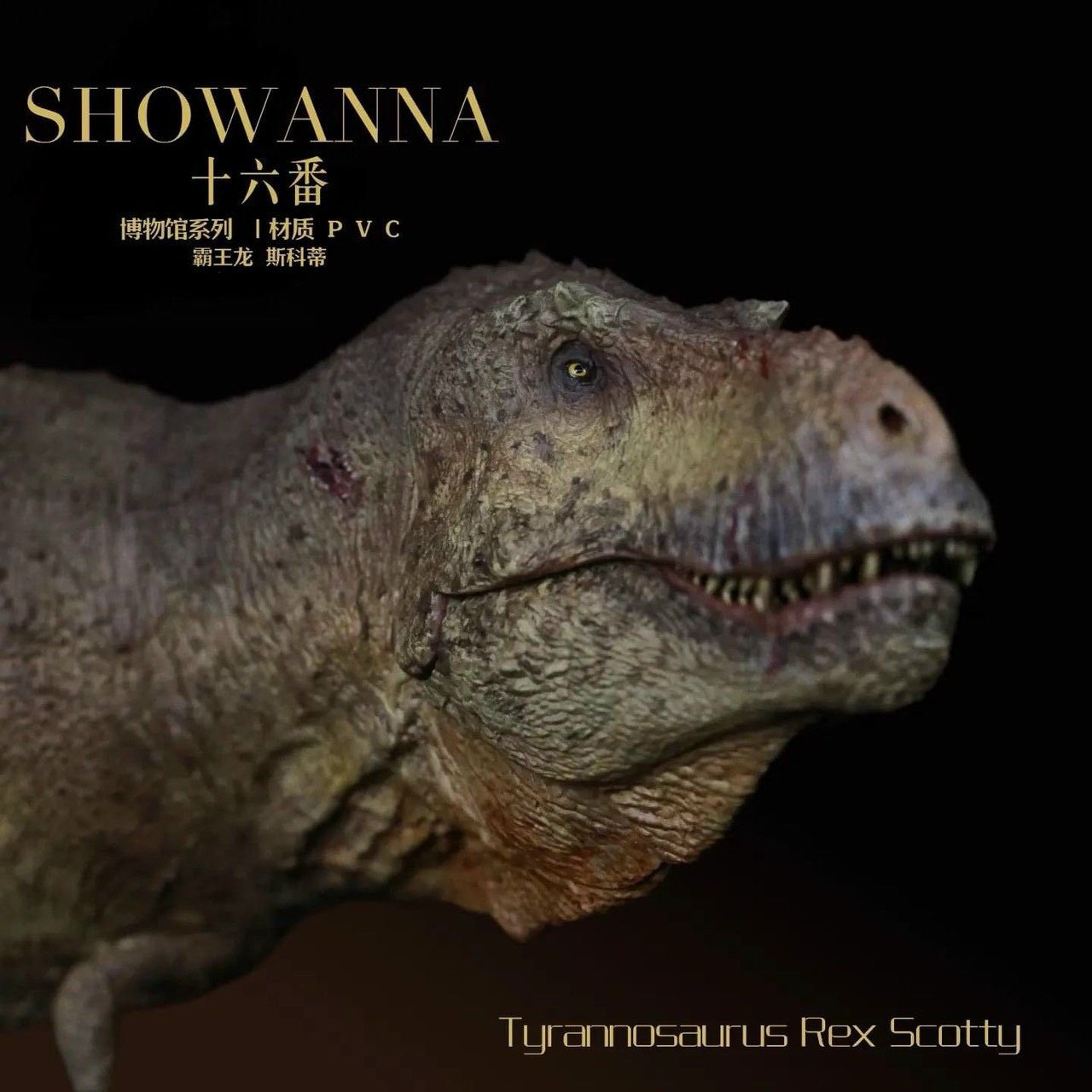  Mô hình T.rex hãng showanna studio tỷ lệ 1/35 