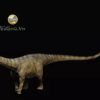  Mô hình khủng long Diplodocus chính hãng Rebor 