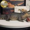  Mô hình cá xấu tiền sử Deinosuchus chính hãng Rebor 