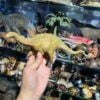  Mô hình khủng long Dicraeosaurus hãng Haolonggood tỷ lệ 1/35 