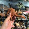  Mô hình khủng long Dicraeosaurus hãng Haolonggood tỷ lệ 1/35 