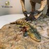  Mô hình khủng long Baryonyx tỷ lệ 1/20 (limited) 