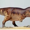  Mô hình khủng long Trex khoa học hãng Declay studio tỷ lệ 1/35 