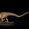  Mô hình khủng long loài cổ dài diplodocus haste và oak dragon 