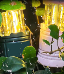 Bộ 2 Đèn cắm trại Starbucks Pháp