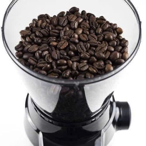 Máy xay cà phê CASO Barista Flavour