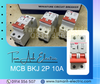 MCB LS BKJ63N 2P 6A - Cty Xây lắp điện Tam Anh