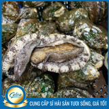 Bào ngư Hàn Quốc