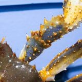 Cua hoàng đế Xanh - King Crab xanh