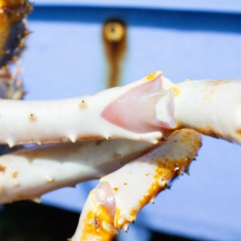 Cua hoàng đế Xanh - King Crab xanh