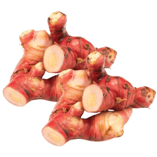 Cui Rangw Củ riềng-Nông sản chuẩn xuất khẩu - HM Botanic