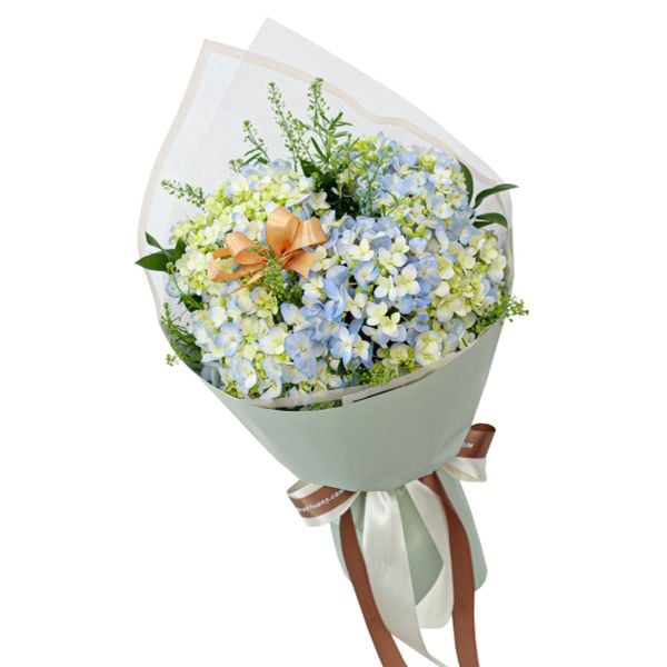  Cẩm Tú Cầu Và Em - 15296 