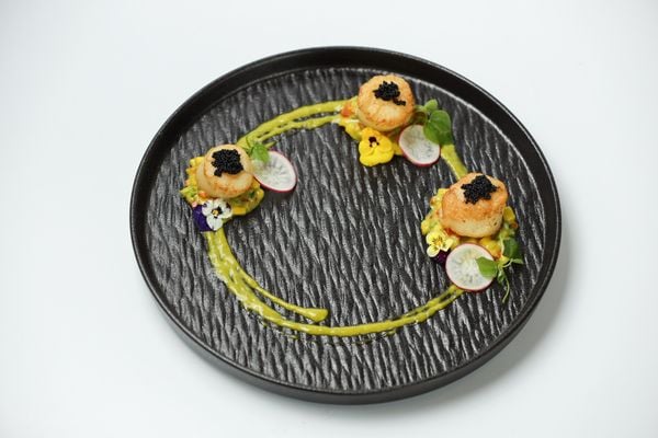  Scallop w. Salsa Sauce Mexican 